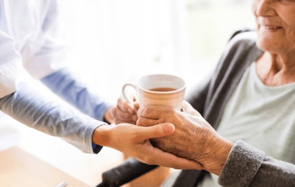Domiciliary care or Home Care